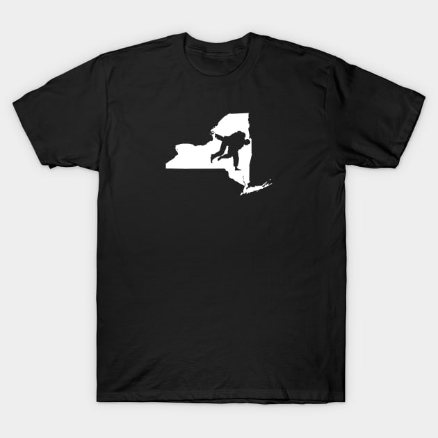 New York Judo T-Shirt by Ruiz Combat Grappling